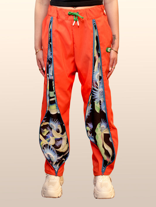 ZipPop Pants